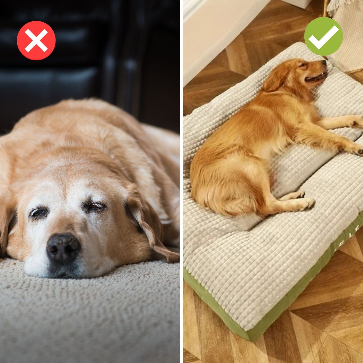 Cama Perro Confort Firme