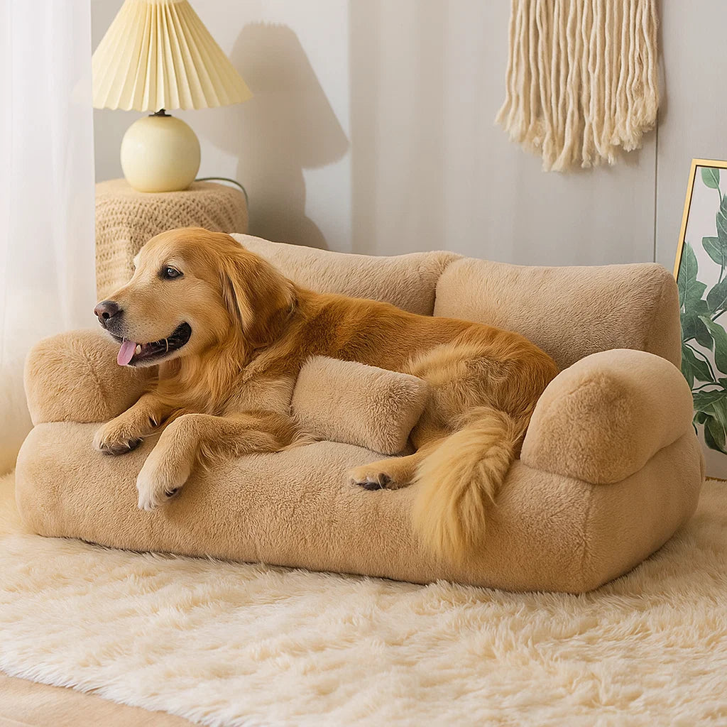 Sofá Perro Elegante Confort