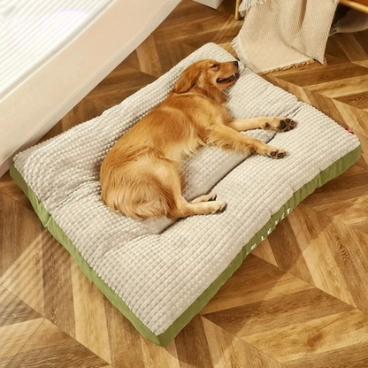 Cama Perro Confort Firme