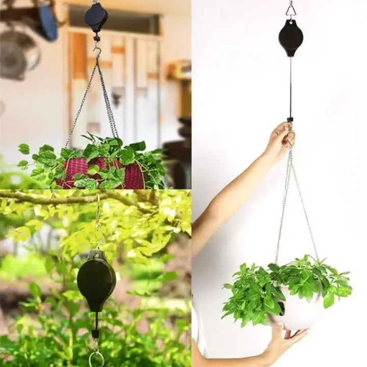 Poleas Plantas Ajustables