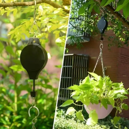Poleas Plantas Ajustables