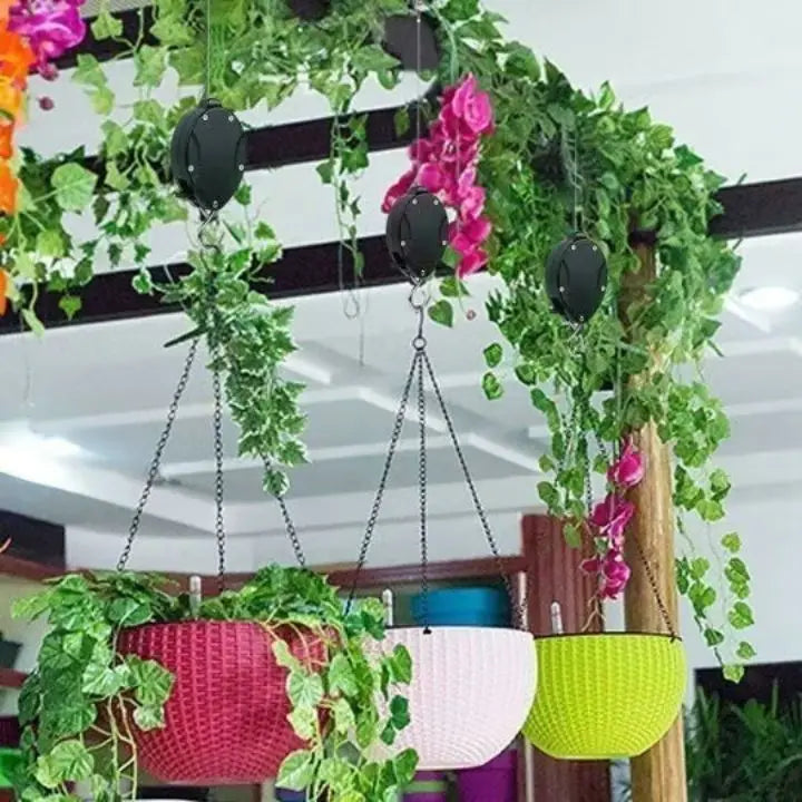 Poleas Plantas Ajustables