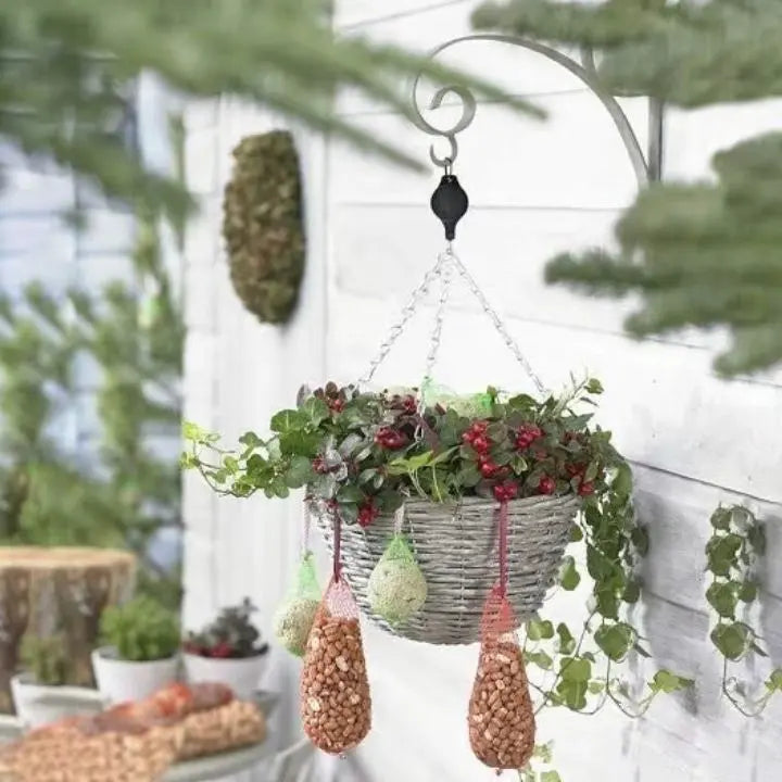 Poleas Plantas Ajustables