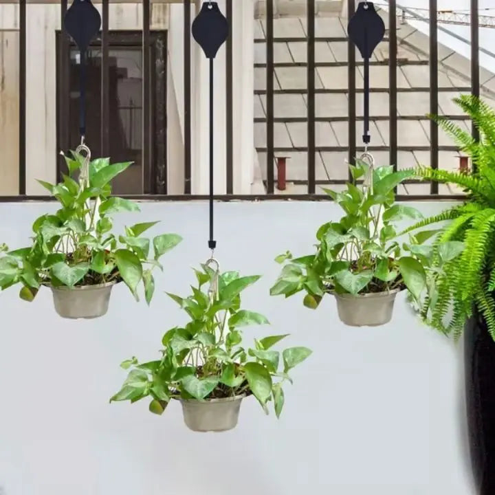 Poleas Plantas Ajustables