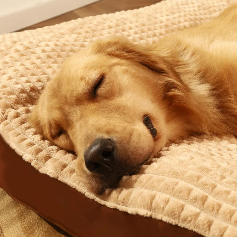 Cama Perro Confort Firme