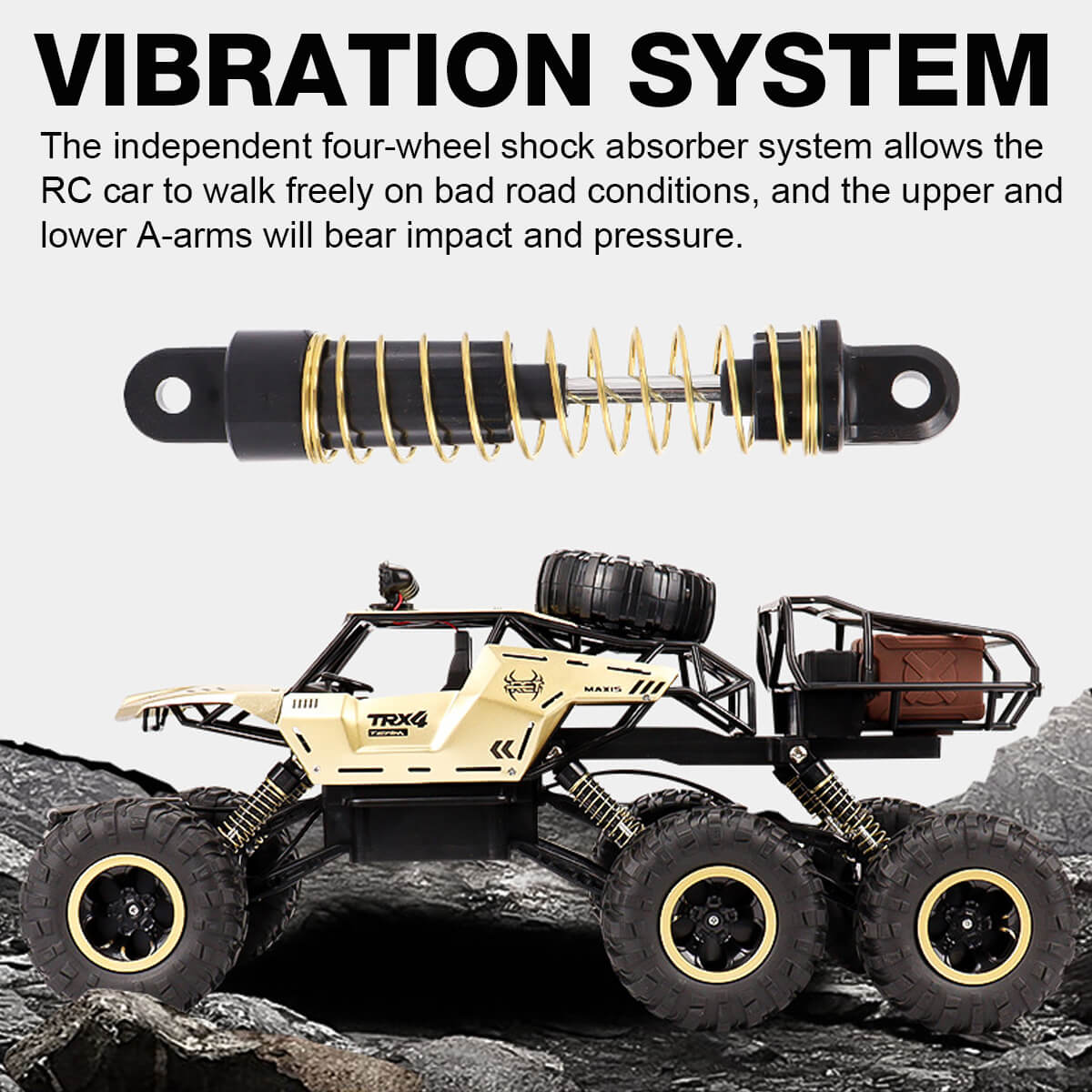 Coche RC Offroad