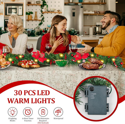 Guirnalda navideña con luces