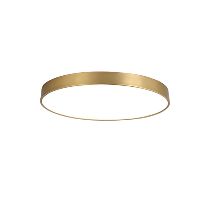 Anillo de luz elegante – Estilo y funcionalidad en un solo diseño