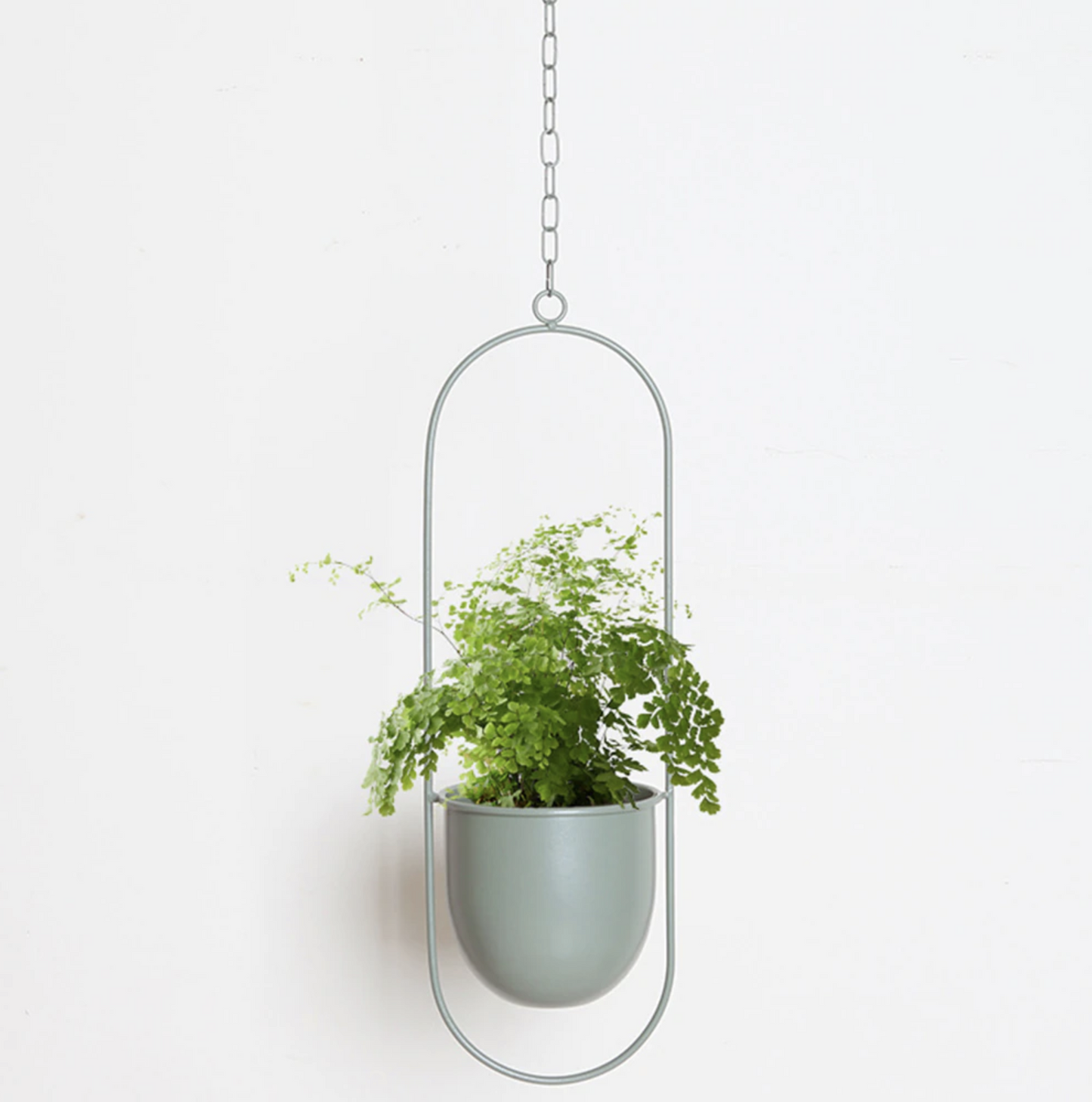 Soporte Plantas Studio