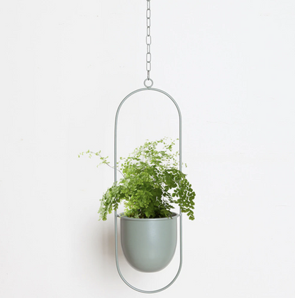 Soporte Plantas Studio