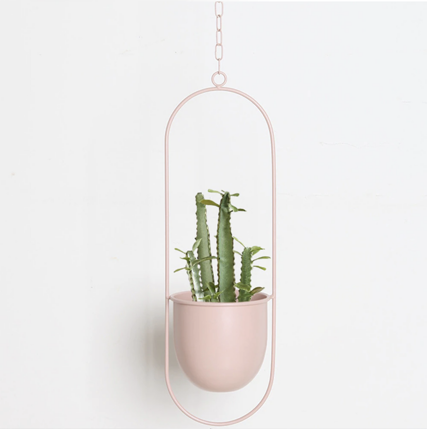 Soporte Plantas Studio