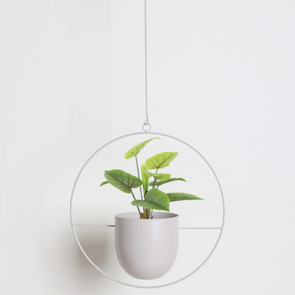 Soporte Plantas Studio
