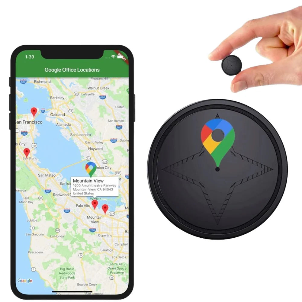 GPS Clásico Coche