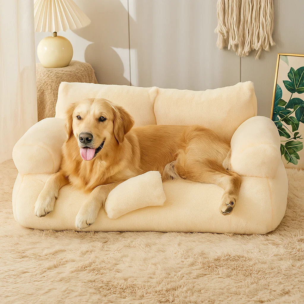 Sofá Perro Elegante Confort