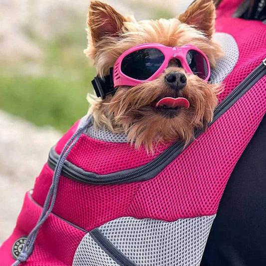 Mochila Mascotas Transpirable Ajustable
