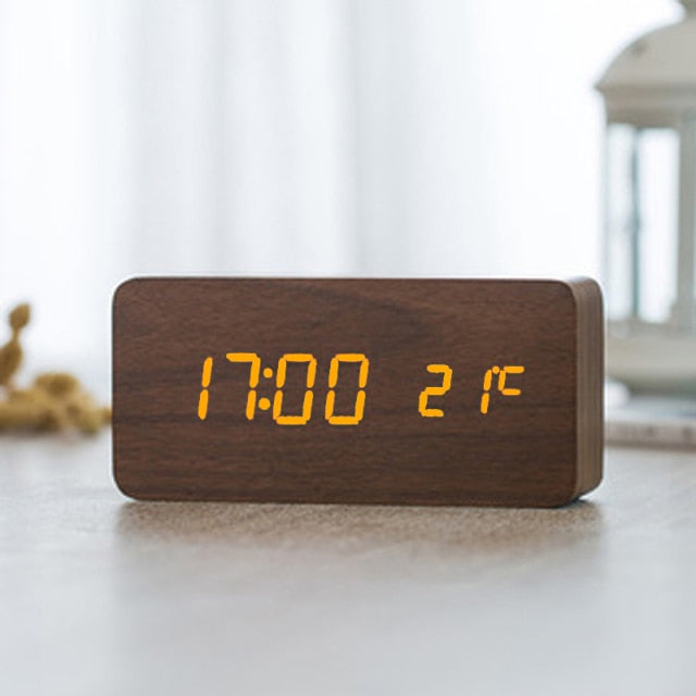 Alarm Vision