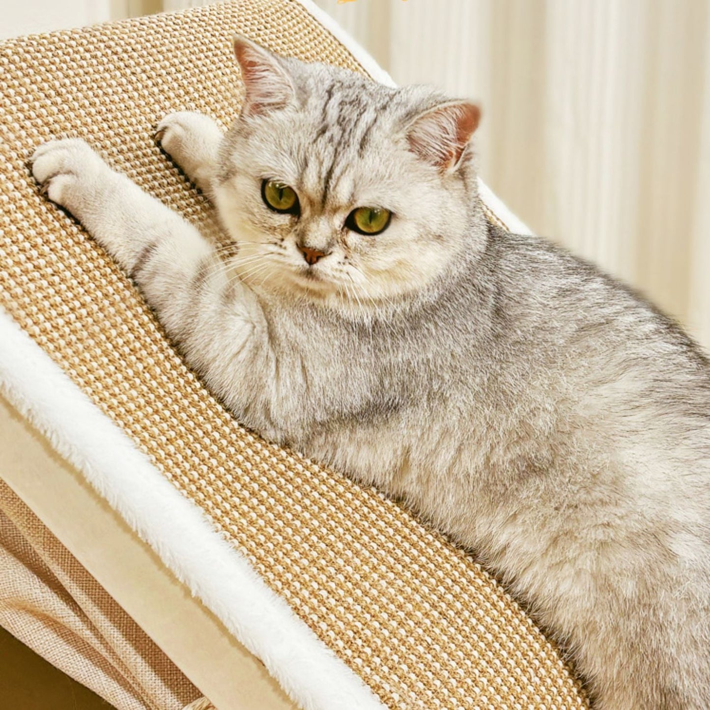 Casa Sisal Gatos